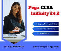 Pega Certified Lead System Architect (CLSA) Infinity'24.2 Online Training for IT Professionals – PegaGang